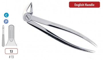 EXTRACTION FORCEPS CANINES AND LOWER PREMOLARS
